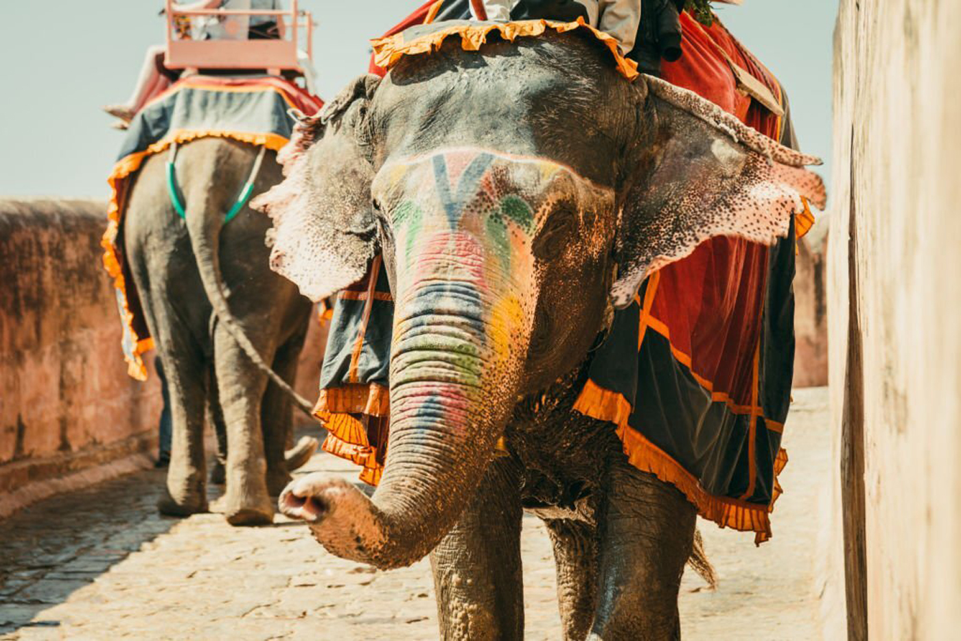 Day 6: Jaipur sightseeing
