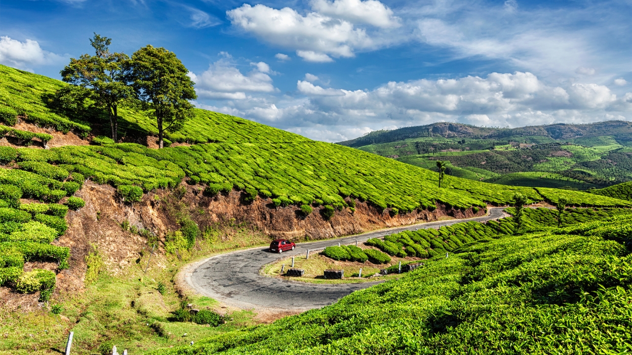 Day 1: Kochi to Munnar.