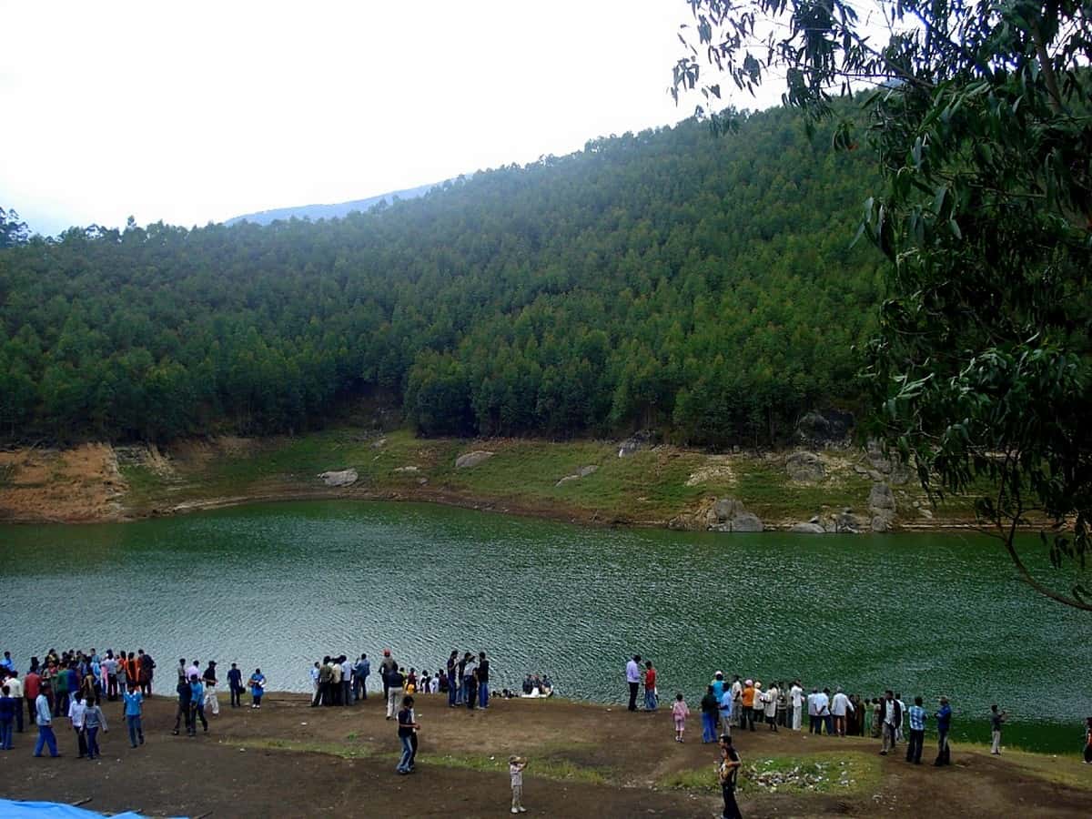 Day 3: Munnar to Kochi Departure