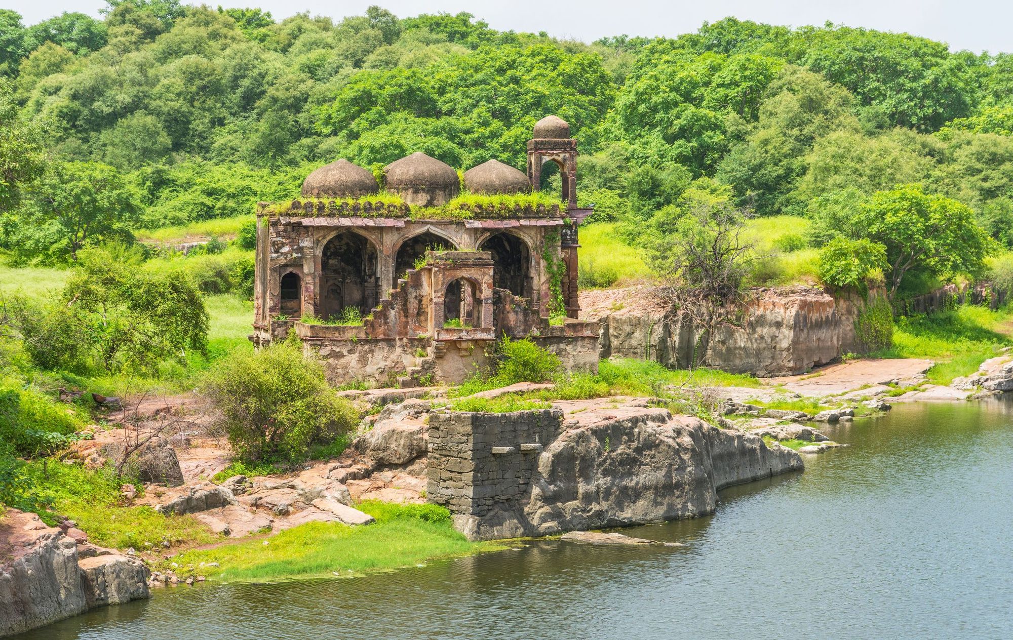 Day 1: Jaipur to Ranthambore and Afternoon Safari