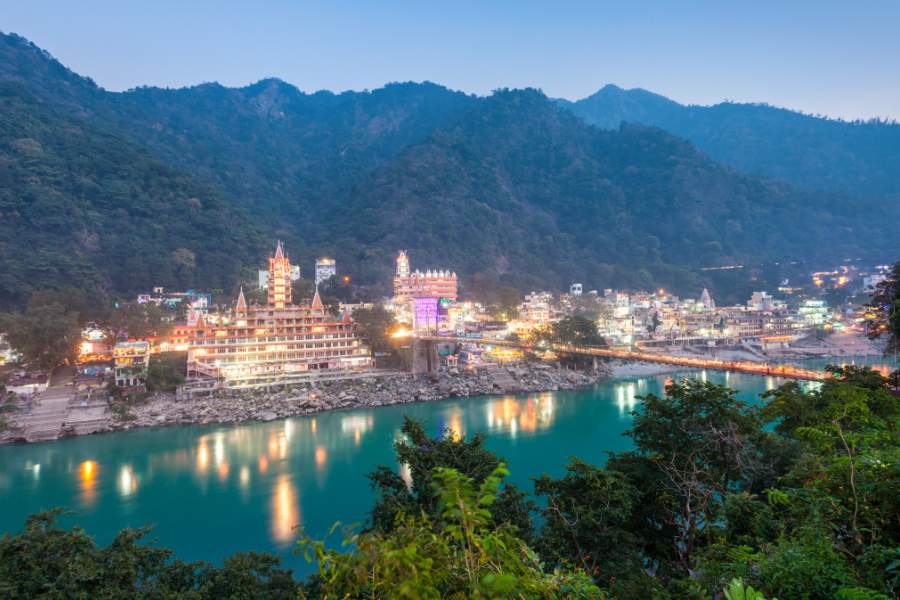 t4